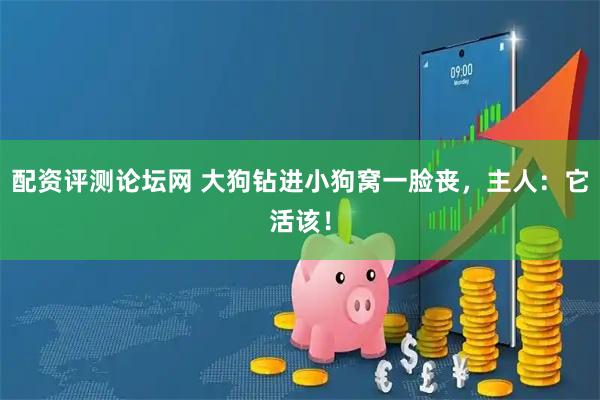 配资评测论坛网 大狗钻进小狗窝一脸丧,主人:它活该!
